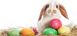 EASTER OPENING TIMES