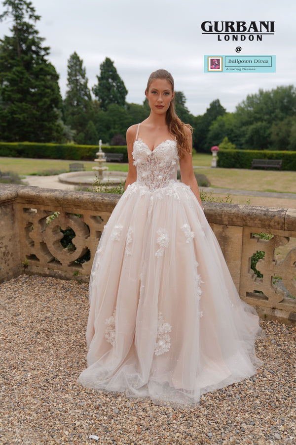 Quinceneara Princess Dress - Pandora