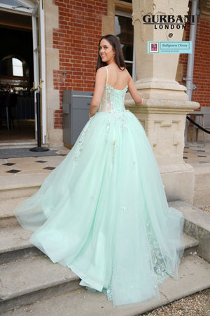 Quinceneara Princess Dress - Vivian