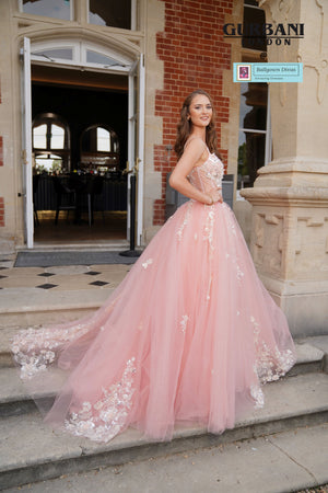 Quinceneara Princess Dress - Vivian