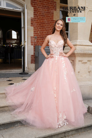 Quinceneara Princess Dress - Vivian