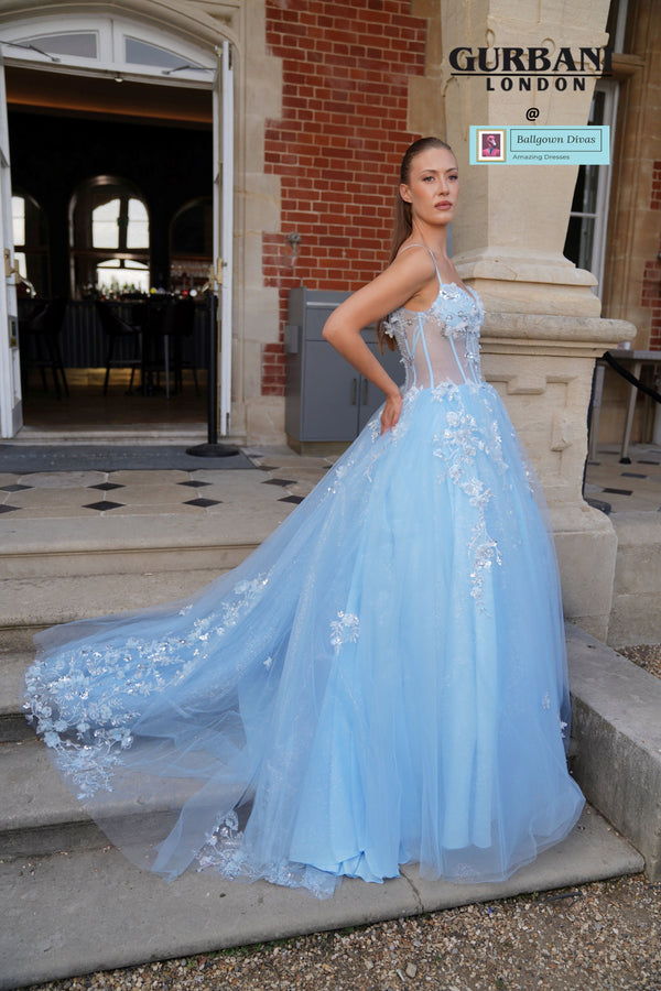 Quinceneara Princess Dress - Vivian