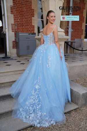 Quinceneara Princess Dress - Vivian