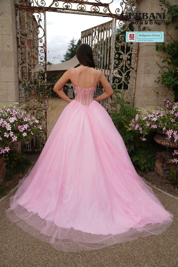 Quinceneara Princess Dress - Robbie