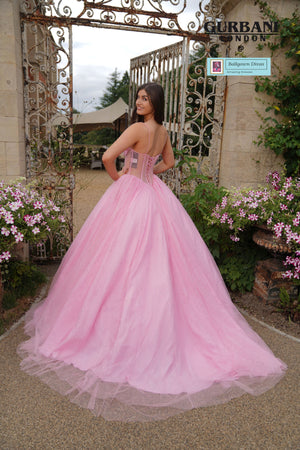 Quinceneara Princess Dress - Robbie