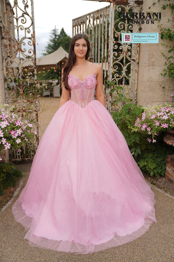 Quinceneara Princess Dress - Robbie