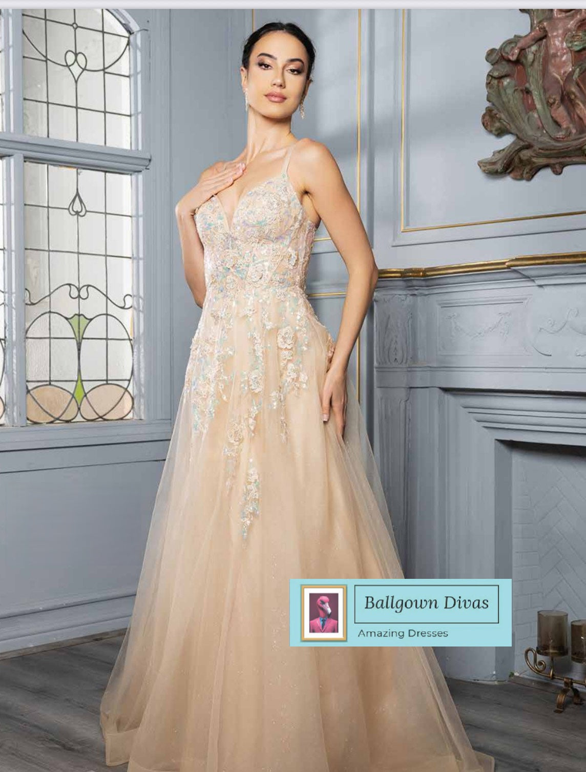 jessie prom dress Tulle Prom Evening Dress